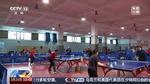 2026年世界杯官网 涵翔乒乓球台